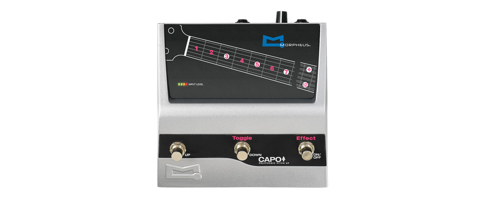 Morpheus（モーフィアス） Capo カポ Morpheus Capo Pedal « Royal Music
