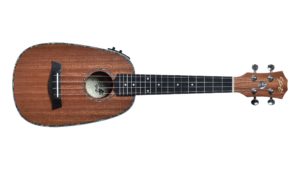 Ukulele seizi maui concert deals