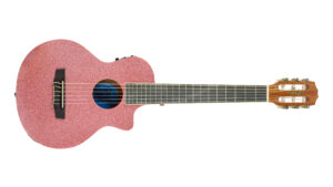 Seizi-Instrumentos-12.24-069-