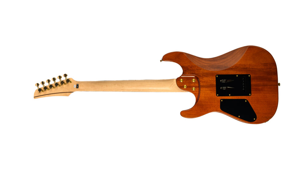 坂本和也 　　　CELLTER 金棘　虹 Guitarra Seizi Katana Angel HSS – Purple Dream – Seizi Guitars