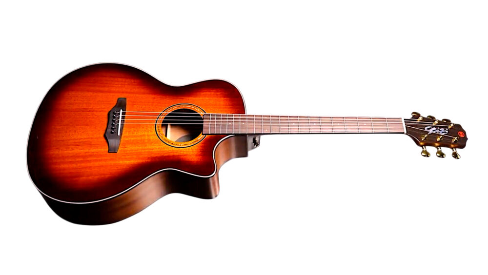 ワイルド　シャイ Violão Seizi Supreme Mirai Evolution Ryu Cutaway Marcelo Carvalho